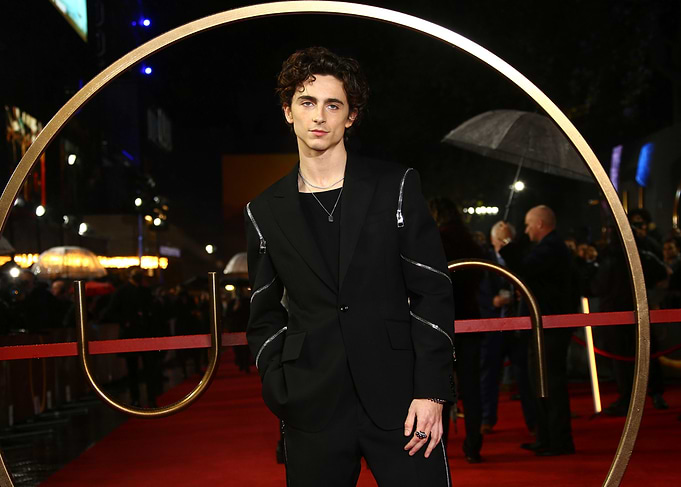 Timothée Chalamet on Red Carpet