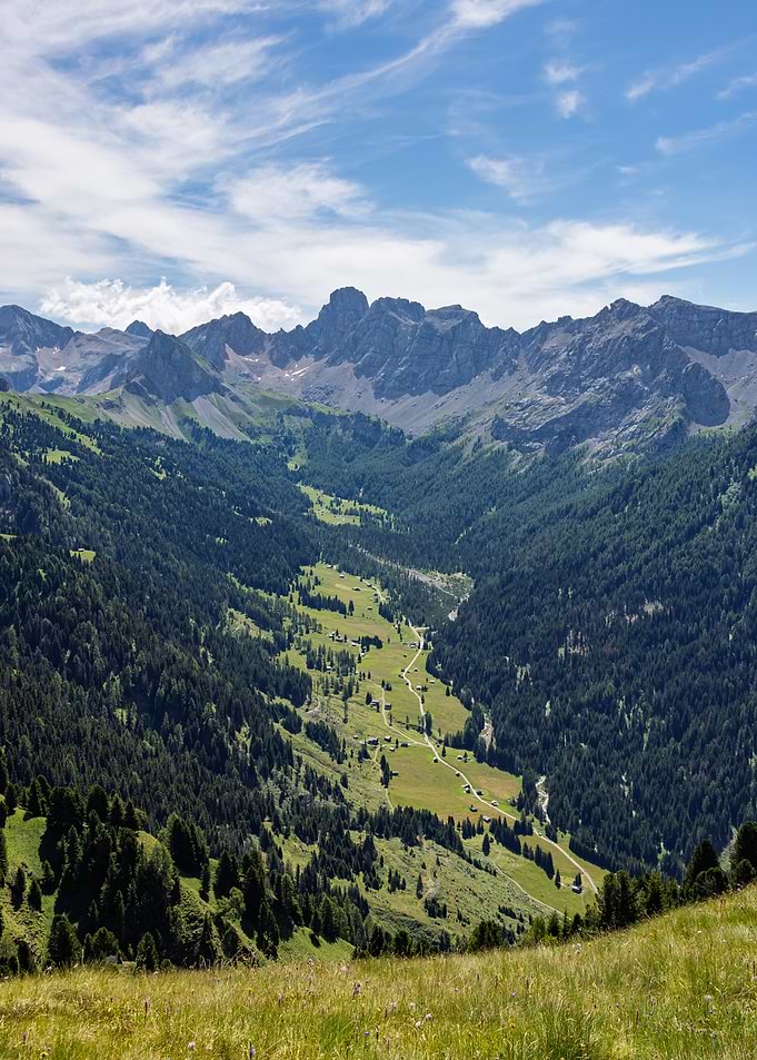 Alpine Valley with Mountains and Forest - Col Valvacin - Buffaure
