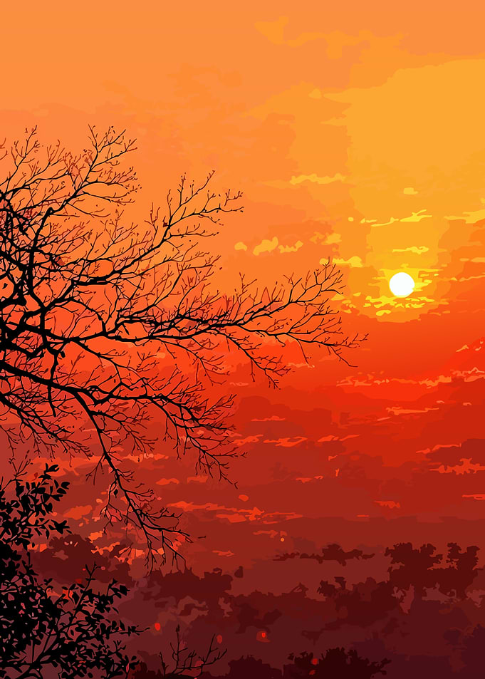 Sunset Over Forest with Silhouetted Trees