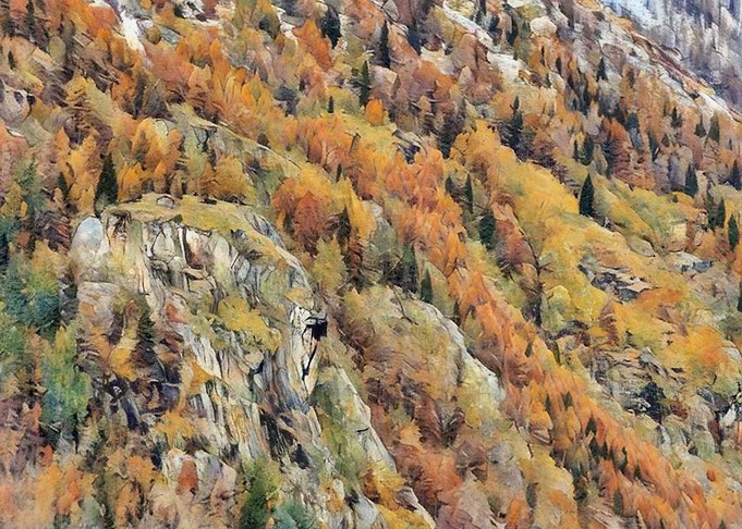 Monterosa Gressoney Italian Alps Autumn Mountain Forest Landscape
