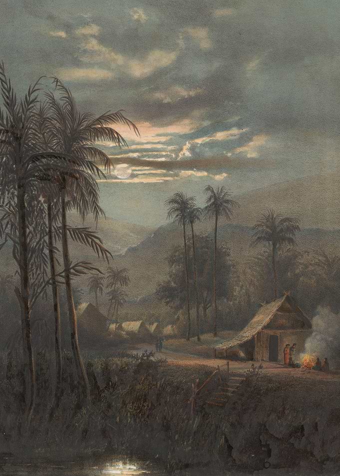 Moonlit tropical village scene