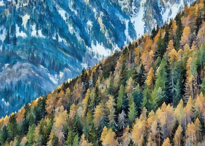 Monterosa Gressoney Italian Alps Autumn Forest on a Mountain Slope