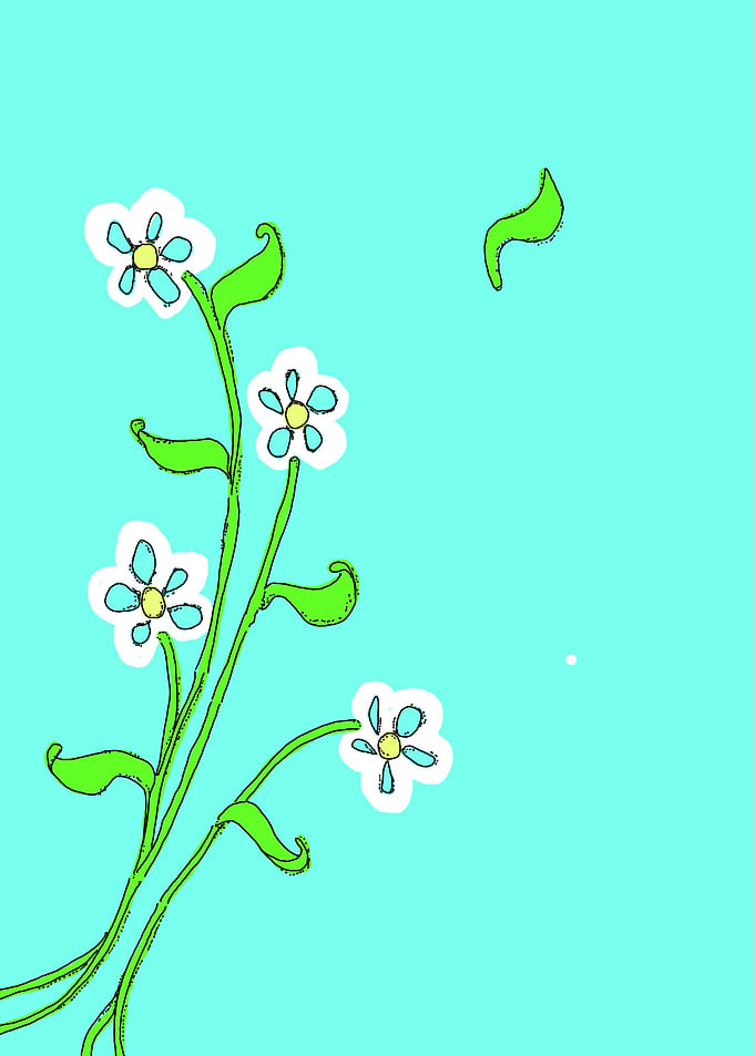 Windswept Daisy Flowers Illustration