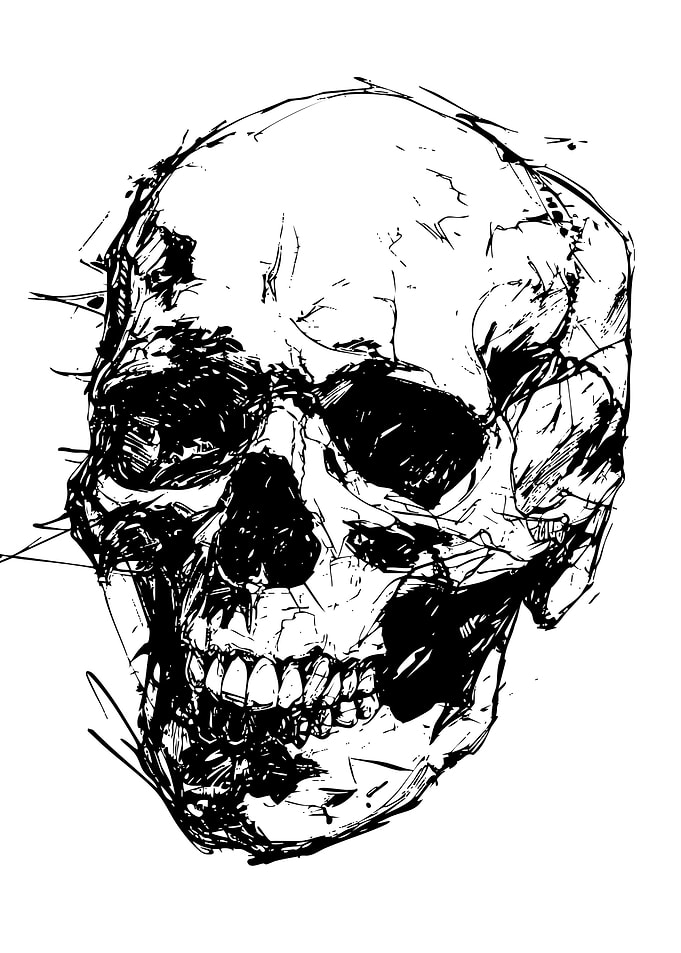 Sketchy Skull Illustration