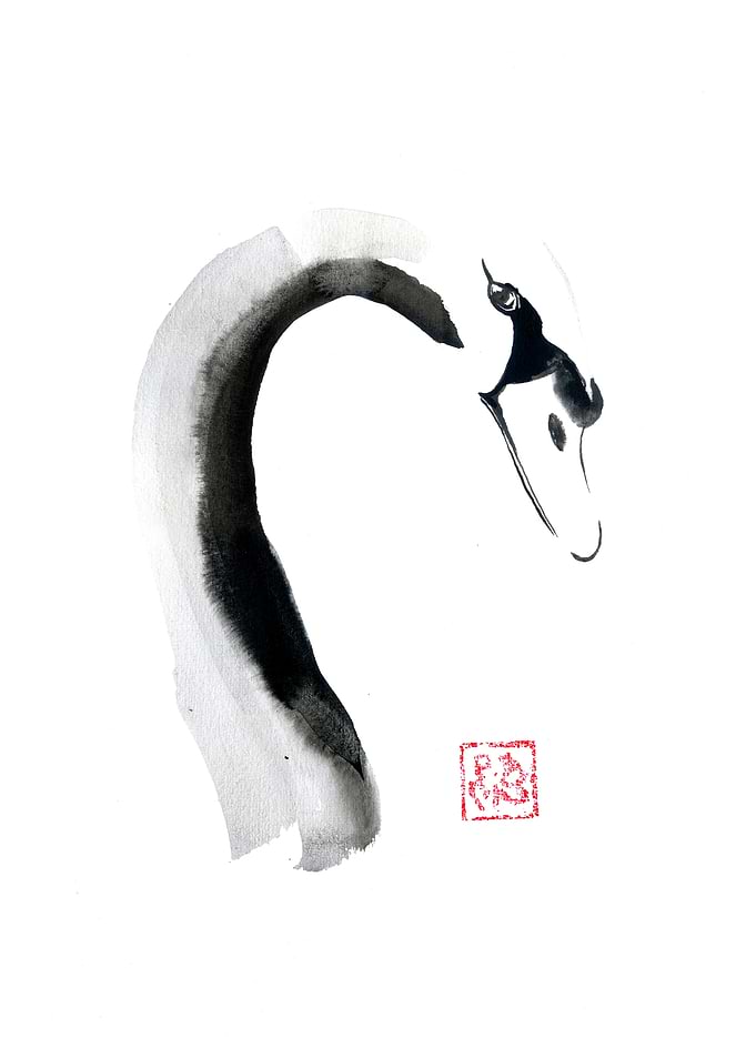 Ink Wash Swan Painting