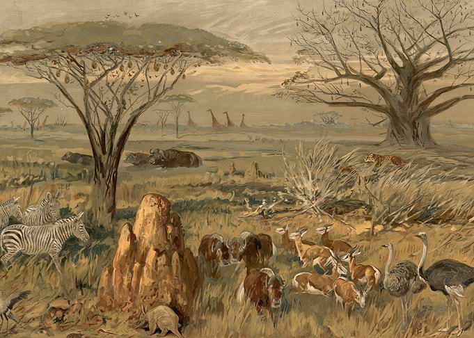 African Savannah Wildlife Scene