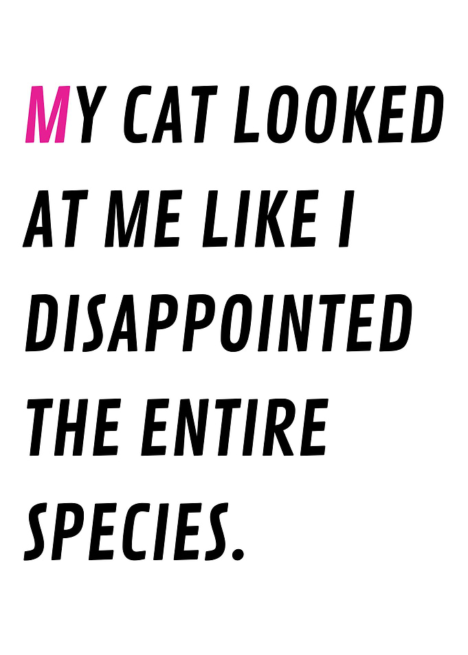 Judged by my cat