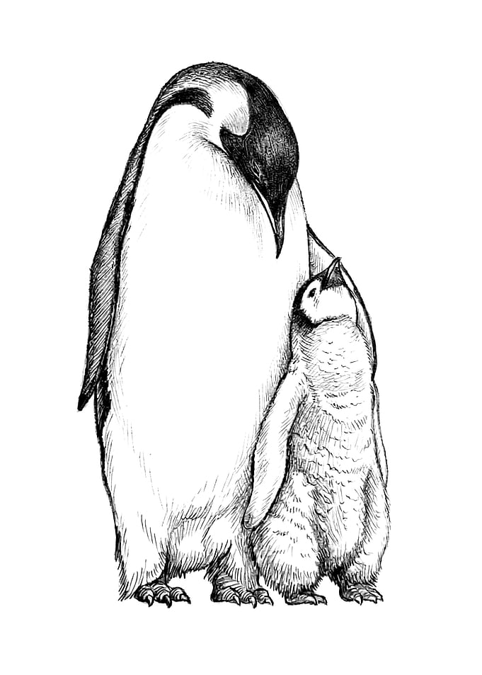 Mother and Baby Penguin Nursery Poster – Minimalist Baby Room Wall Art