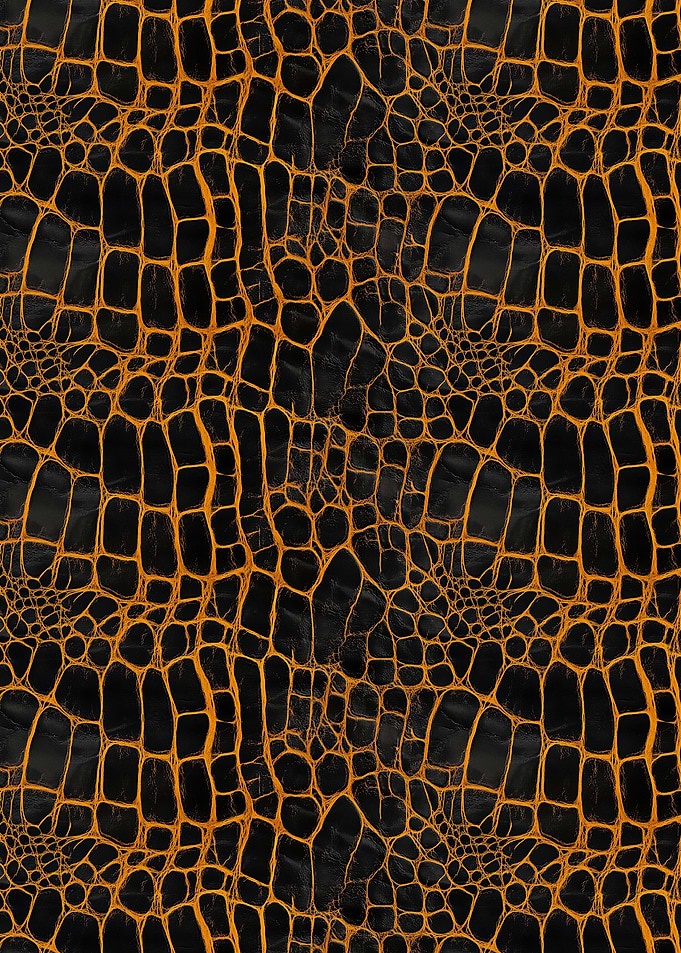 Black and Orange Crocodile Skin Texture