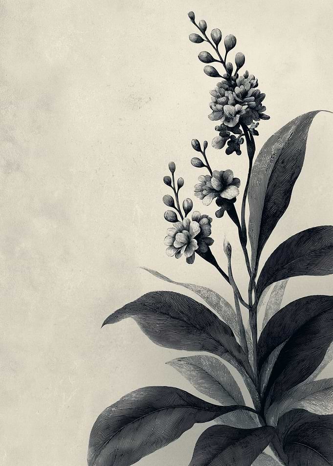 Vintage Botanical Illustration of Flowers