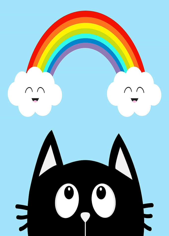 Cute Black Cat Under Rainbow
