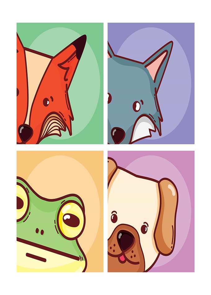 Cute Animal Portraits