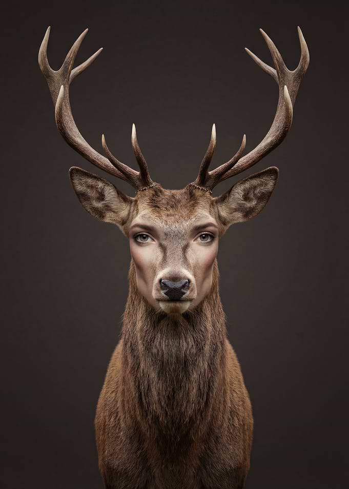 Deer with Human Face and Makeup