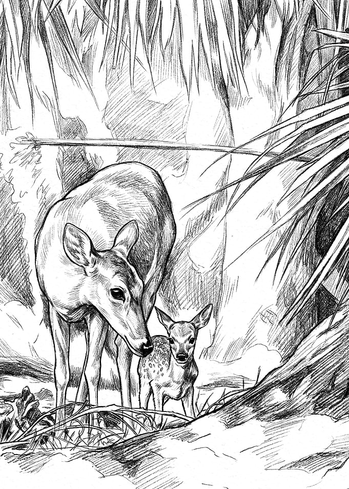 Mother and Baby Deer Nursery Poster – Minimalist Baby Room Wall Art
