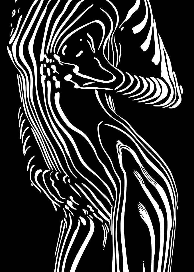 Abstract Zebra Stripe Figure