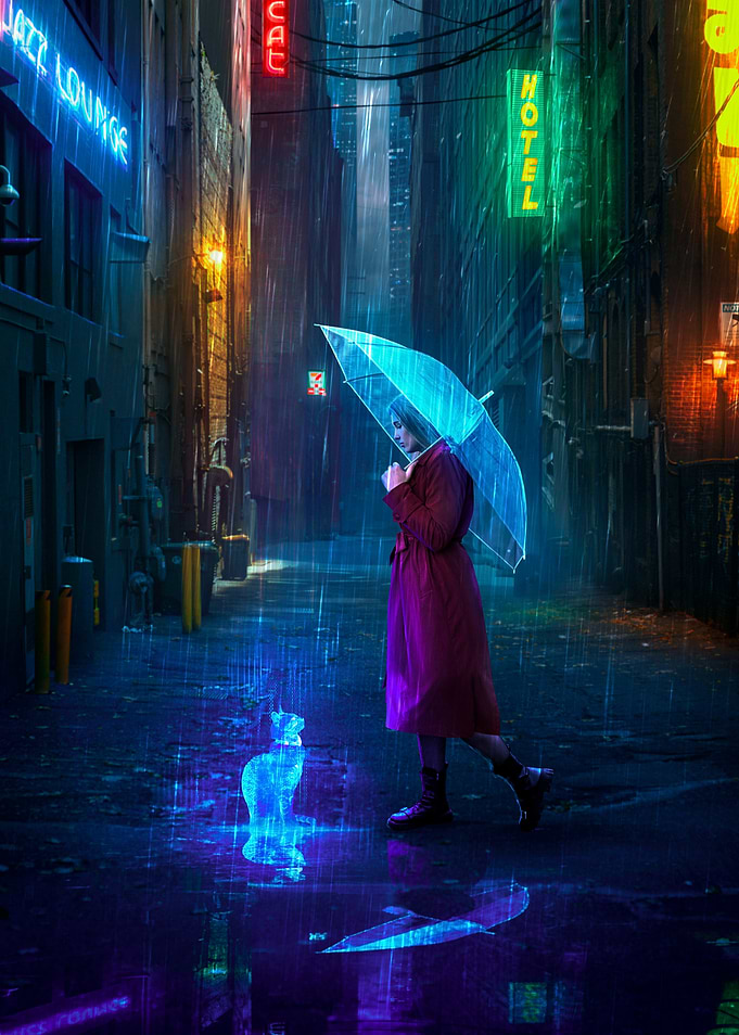 Midnight Projection