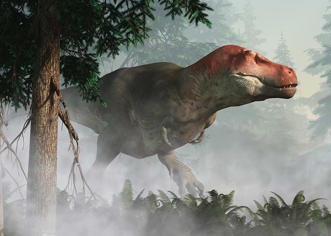 Chonky T-Rex