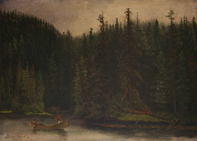 Canoeists in a Forested Lake
