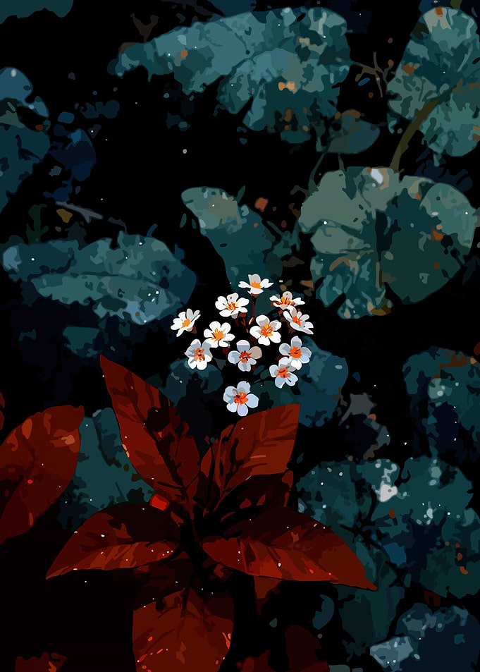 Dark Floral with White Flowers