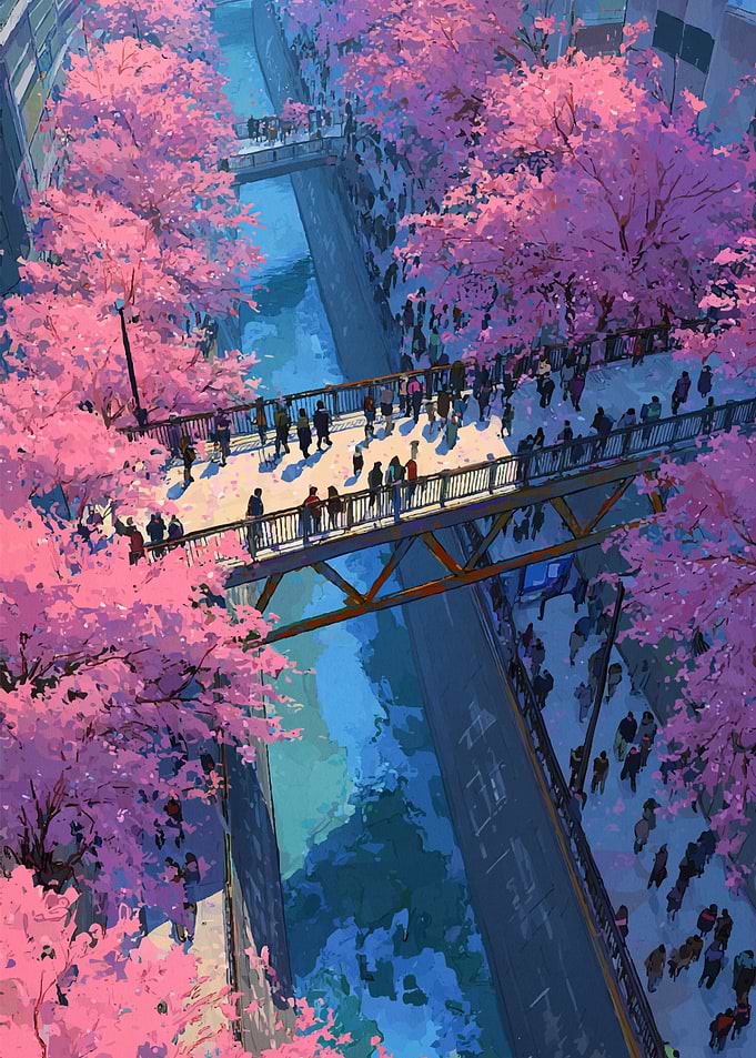 Cherry Blossoms Over City Canal