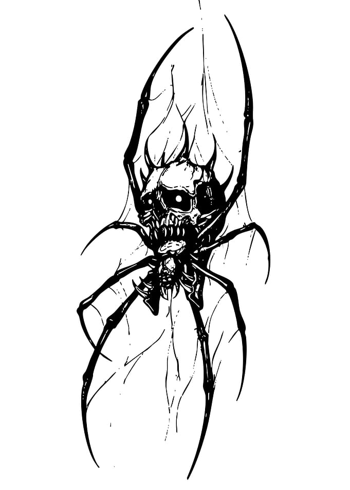 Scary Skull Spider in Web