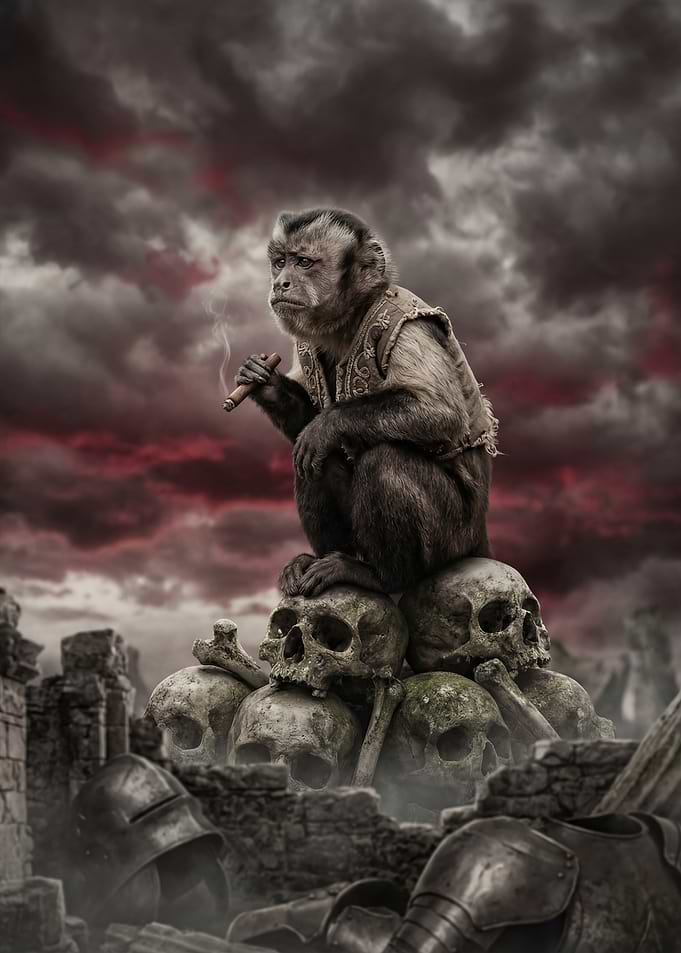 Monkey Smoking on Skulls