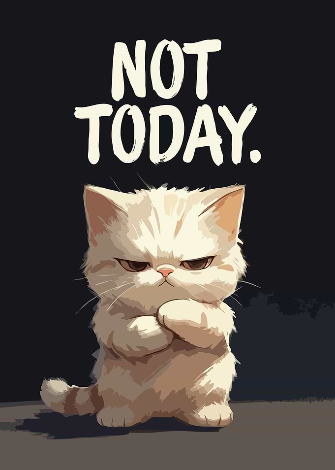 Grumpy Cat 'Not Today' Art