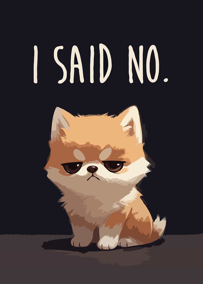 Grumpy Shiba Inu Dog Says No Art