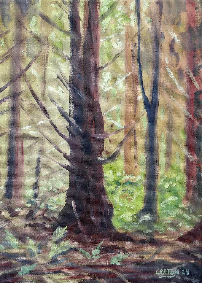 The Pine tree