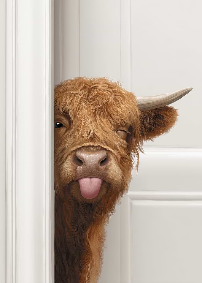 Highland Cow Peeking and Sticking Tongue Out
