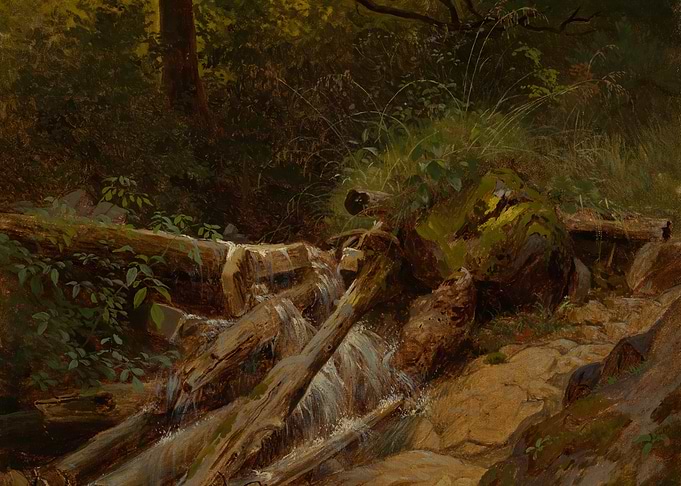 Forest Stream with Fallen Logs