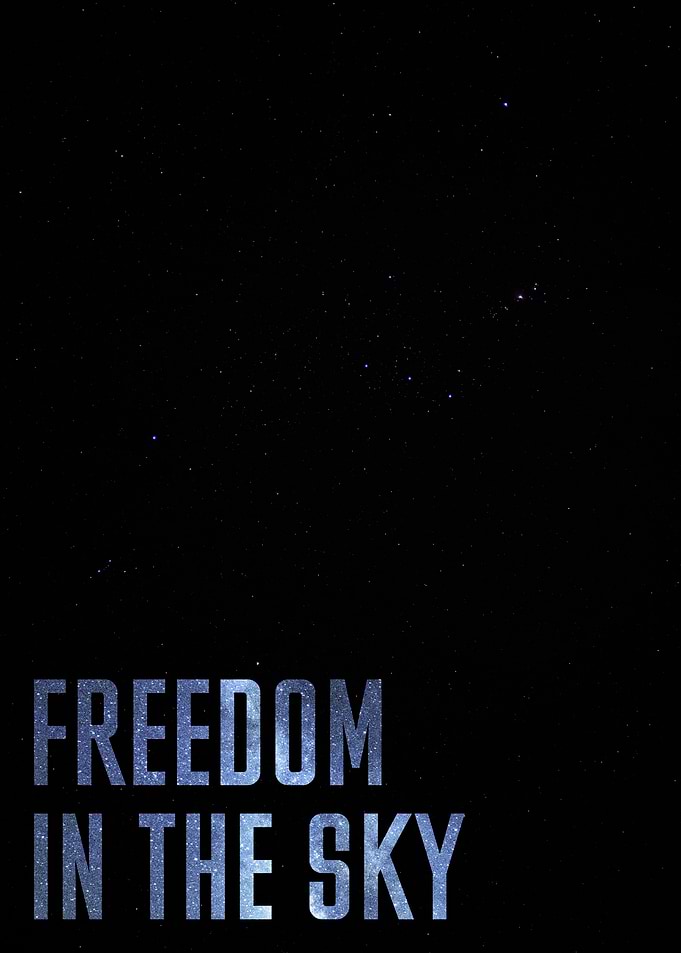 Freedom in the Sky Text Art