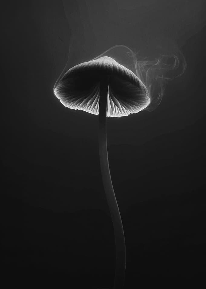 Glowing Mushroom with Smoke