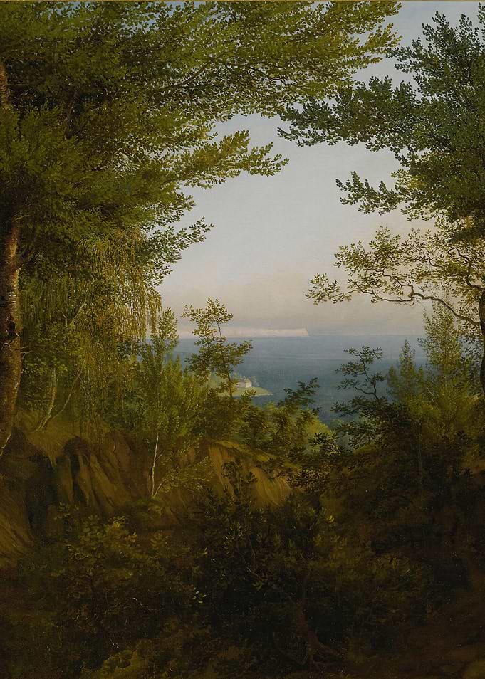 Forest View of a Distant Landscape