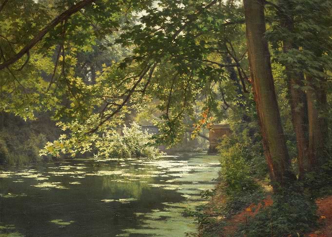 Sunlit Canal in a Lush Forest