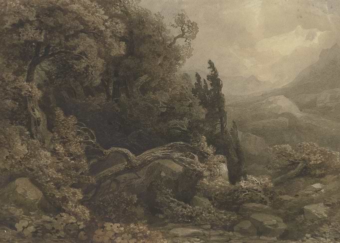 Misty Mountain Landscape with Trees