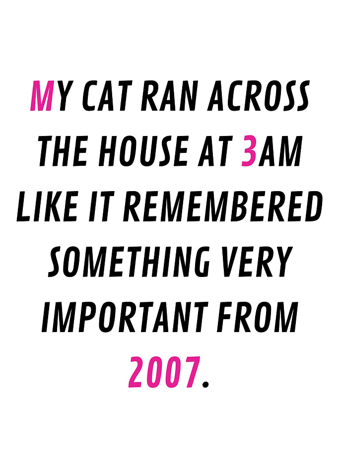 3am cat emergency