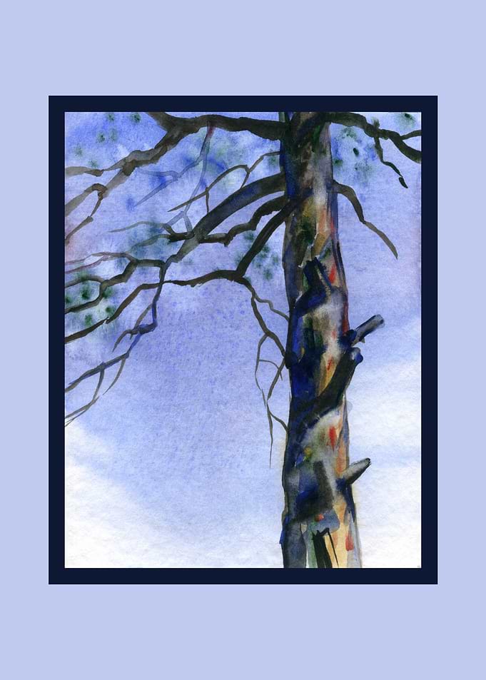 Watercolor Painting of a Tree