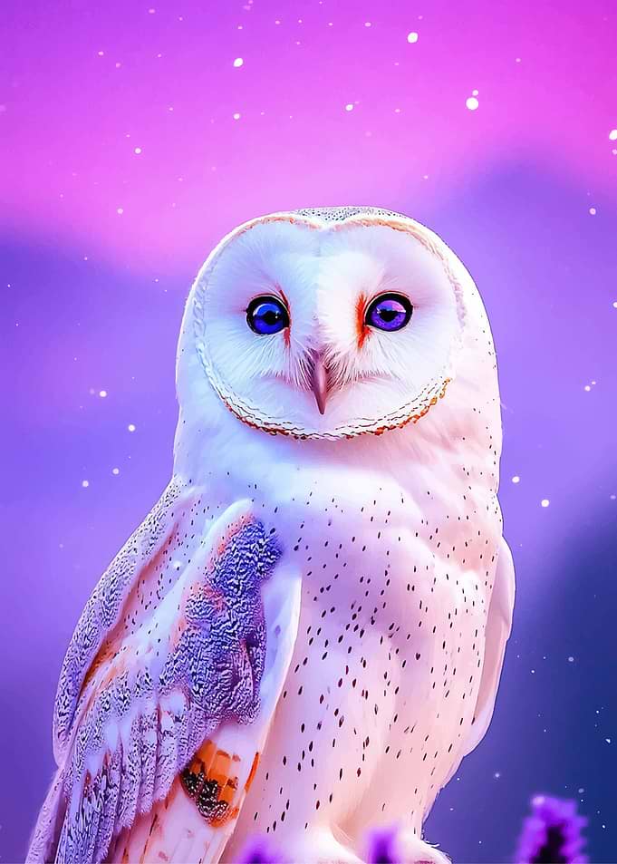 Enchanting Barn Owl in a Dreamy Landscape