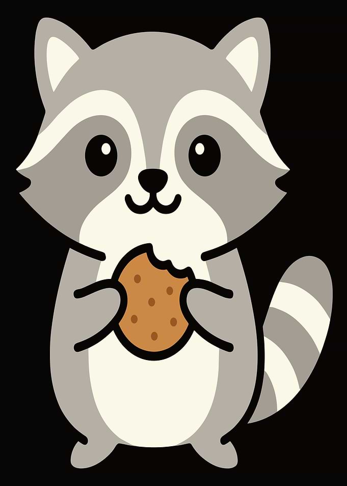 Cute Raccoon Eating a Cookie