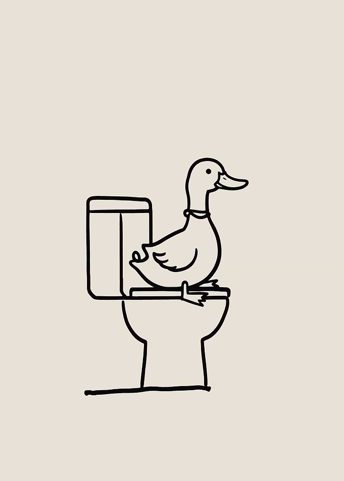 Duck on a Toilet bathroom funny animal