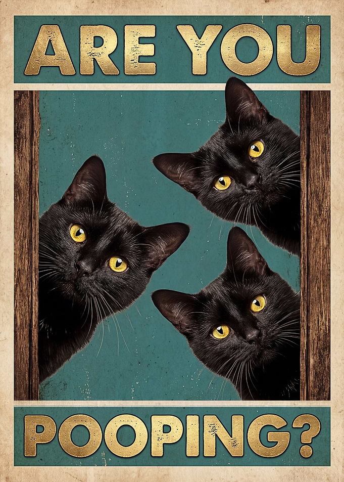 Three Black Cats Peeking