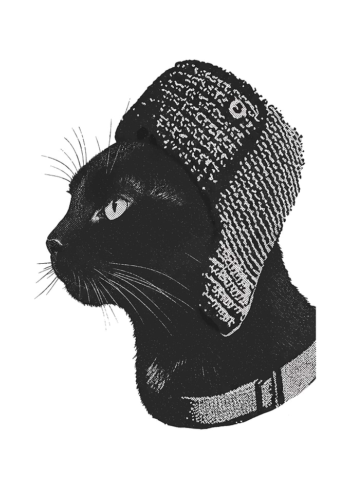 Black Cat Wearing a Hat
