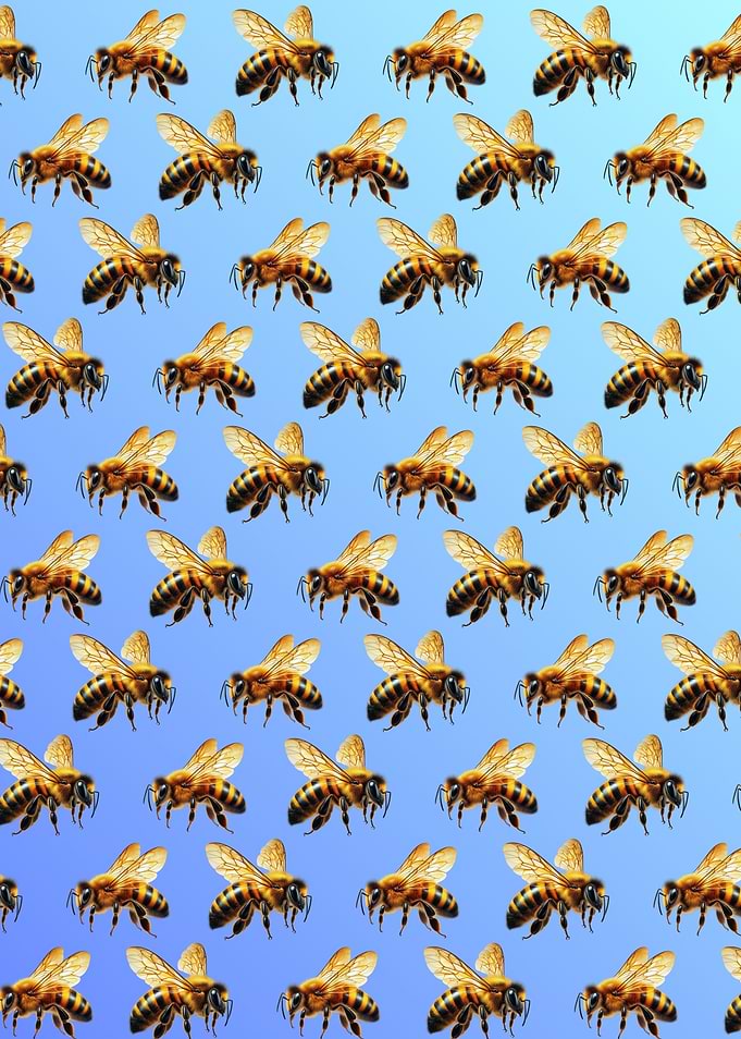 Pattern of Honey Bees on Blue Gradient