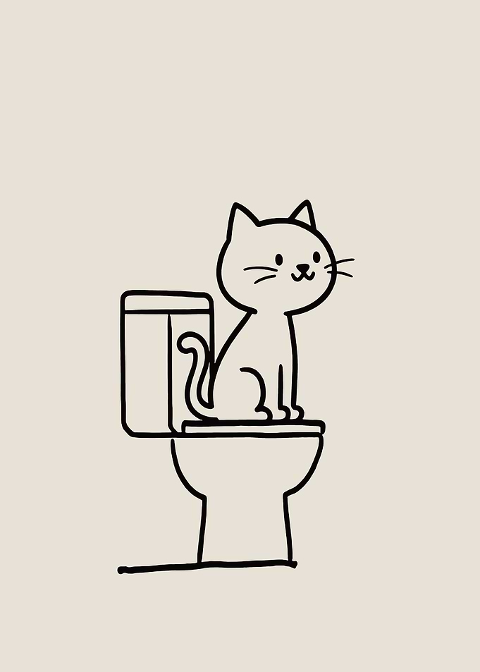 Cat sitting on a toilet bathroom