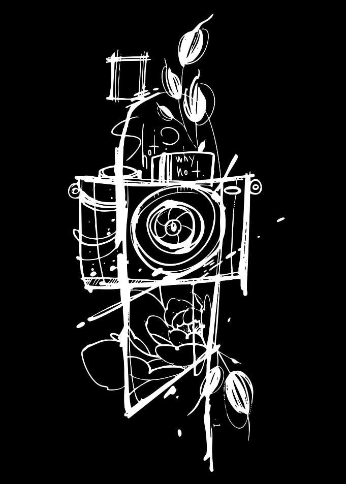 Abstract Camera with Floral Elements