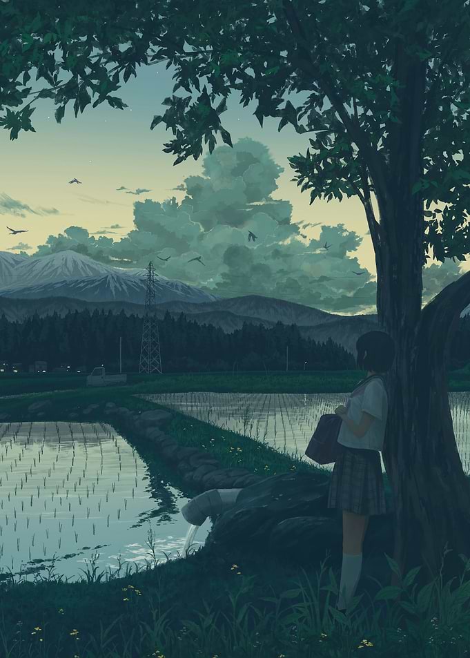 Girl in school uniform by rice paddies