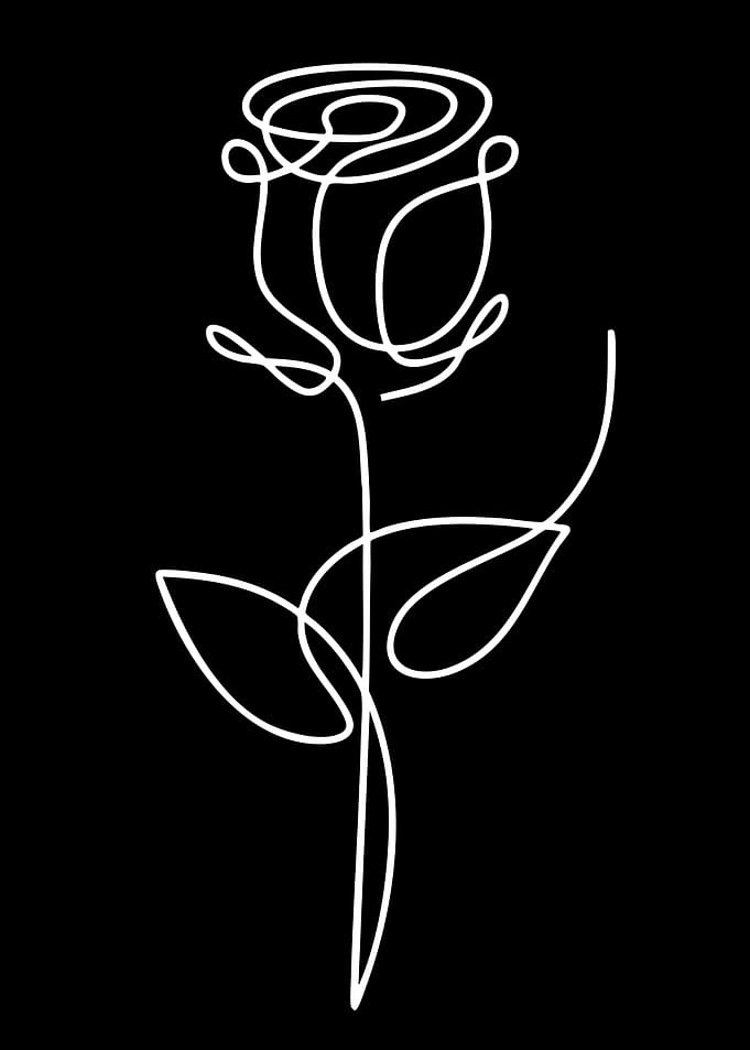 Minimalist White Rose Line Art