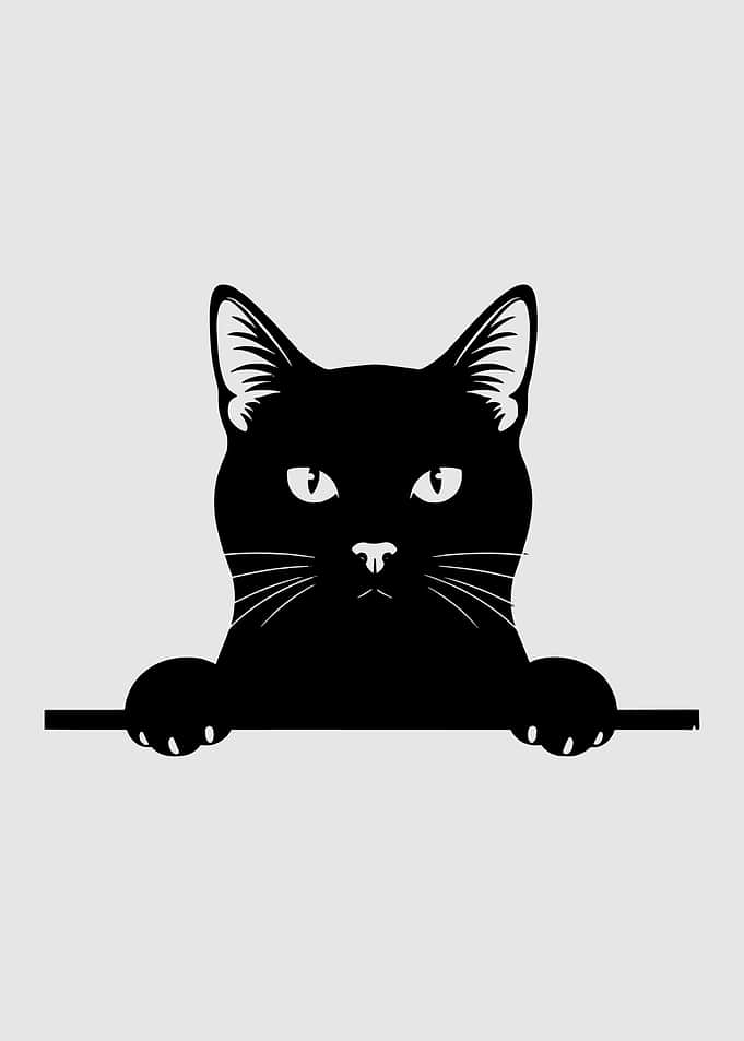 Black Cat Peeking Over Edge