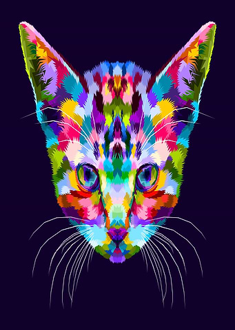 Colorful Cat Portrait
